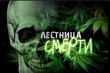 В Краснодарском крае сняли новый антинаркотический фильм «Лестница смерти»