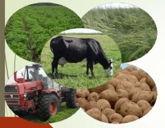 Информация для малых форм хозяйствования (МФХ) Тбилисского района