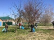 В Тбилисском районе проводится Всекубанский месячник по наведению санитарного порядка