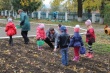 В Тбилисском районе дошколята выращивают саженцы каштана