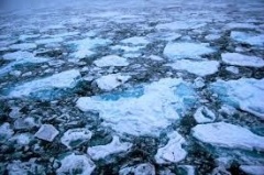 Неокрепший лед на водоемах грозит бедой