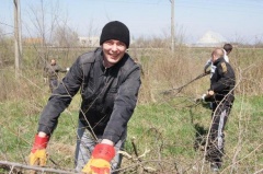 В Тбилисском районе провели Всекубанский месячник санитарного порядка