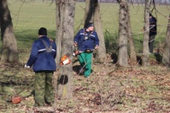 Субботник прошел в Тбилисском районе