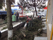 В течение двух дней со 2 по 3 ноября 2016 года в Тбилисском районе проходили практические мероприятия в рамках командно-штабных учений