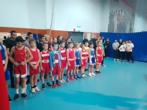 Турнир по боксу «Мир без наркотиков»