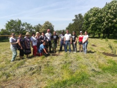 Международная акция Сад Победы