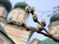Благотворительная акция прошла в Тбилисском районе