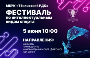 Приглашаем на фестиваль по интеллектуальным видам спорта 