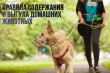 Правила содержания домашних животных