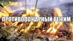 В Тбилисском районе введён особый противопожарный режим