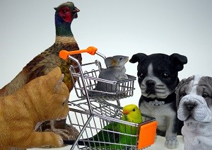 Что надо знать при покупке животных и растений?