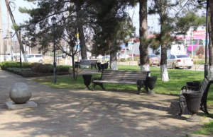 В станице Тбилисской на улице Новой начали создавать «Аллею Славы»