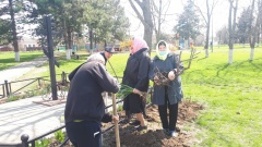 В Тбилисском районе проходят субботники