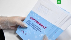 С 22 ноября в Краснодарском крае вступили в силу новые антиковидные ограничения