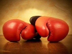 Школа «Авангард»  провела в Тбилисской турнир по боксу 