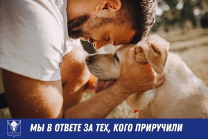 Наши питомцы – наша ответственность!