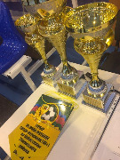 Турнир по мини-футболу среди ветеранов прошел в Тбилисском районе