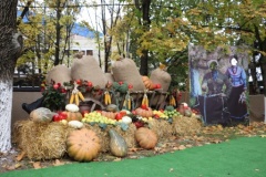 Тбилисский район принял участие в краевом Празднике урожая 2019