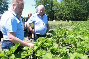8 июня 2020 года глава Тбилисского района Евгений Ильин провел рабочий день в Марьинском сельском поселении