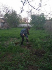 В Тбилисском районе продолжается акция «Ветеран рядом»