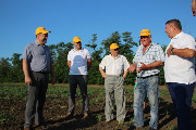7 июня 2019 года в Тбилисском районе состоялся смотр культуры земледелия