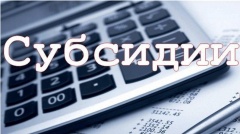 Идет прием заявок на получение субсидий из федерального бюджета