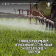 С 12 апреля 2024 года по 10 мая 2024 года на полях будут проводиться химические обработки