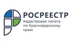 Выписки из ЕГРН online быстро и без электронной подписи