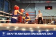 Состоялось первенство по боксу