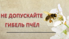 Защита пчёл от негативного воздействия пестицидов