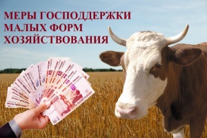 Меры государственной поддержки малых форм хозяйствования в 2026 году