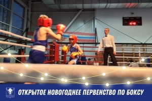Состоялось первенство по боксу