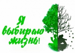 В Тбилисском районе уничтожают наркосодержащую растительность