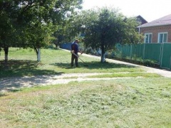 Борьба с сорной растительностью продолжается