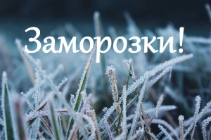 Экстренное предупреждение! Заморозки!