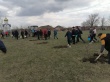В Ловлинском сельском поселении прошла акция "Сад памяти"