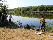 Сегодня в районе состоялся Открытый чемпионат и Первенство по спортивному рыболовству