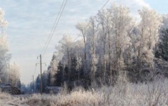 Кубаньэнерго проведет капитальный ремонт 30 км ЛЭП в Тбилисском районе