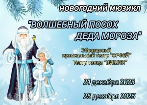 Приглашаем на новогодний мюзикл «Волшебный посох Деда Мороза»!
