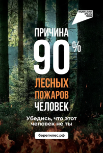 В 2025 году с 15 марта по 30 сентября в России проходит Федеральная информационная противопожарная кампания «Останови огонь!» 