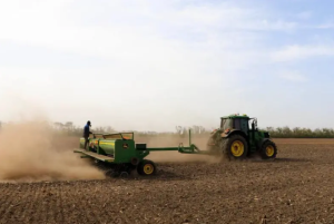 В Тбилисском районе продолжается сев озимых культур