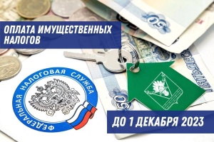 До 1 декабря 2023 года необходимо заплатить налоги!