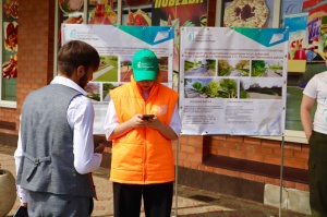 Выбираем территорию для благоустройства