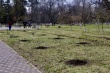 В парке имени И.Е. Семыкина появилась новая аллея 