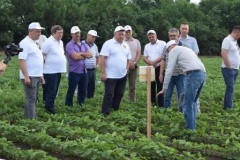 Смотр культуры земледелия прошел в Тбилисском районе