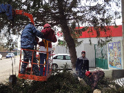 В течение двух дней со 2 по 3 ноября 2016 года в Тбилисском районе проходили практические мероприятия в рамках командно-штабных учений