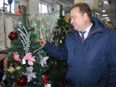 В Тбилисском районе проходит акция «Елка желаний»