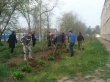 Ученики 7 школы присоединились к общерайонному субботнику
