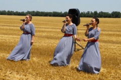 В Тбилисском районе артисты выступают на полях