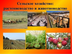Информация для малых форм хозяйствования (МФХ) Тбилисского района